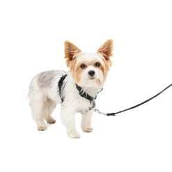 Outlet PetSafe 3 in 1 Harness