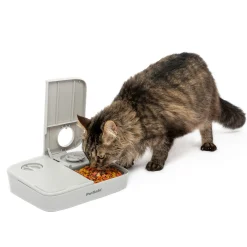 Shop PetSafe Automatic 2 Meal Pet Feeder