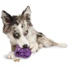 Discount PetSafe Busy Buddy® Barnacle