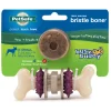 Clearance PetSafe Busy Buddy® Bristle Bone®