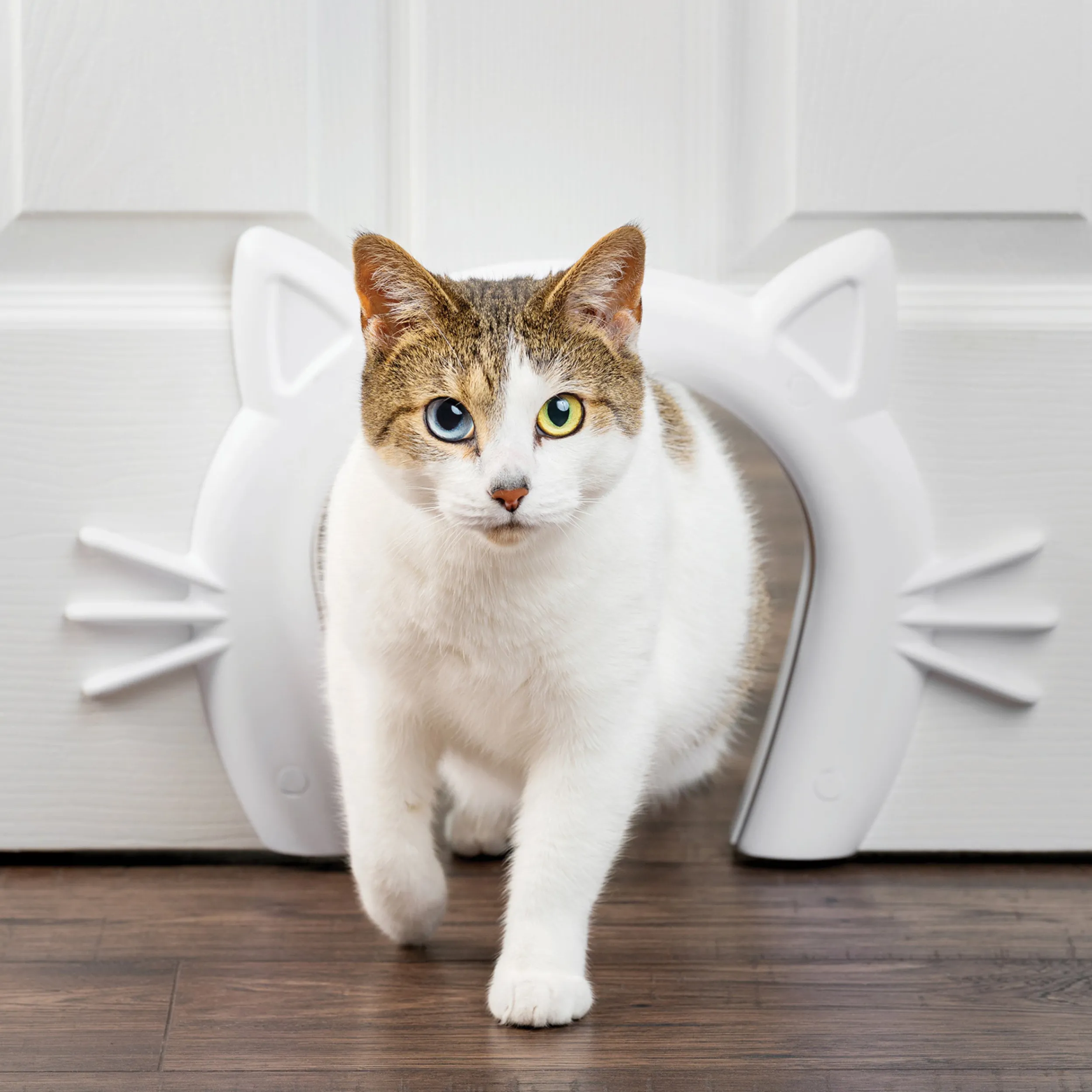 Shop PetSafe Cat Corridor™ Interior Pet Door