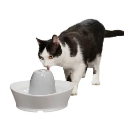 Sale PetSafe Creekside Ceramic Pet Fountain