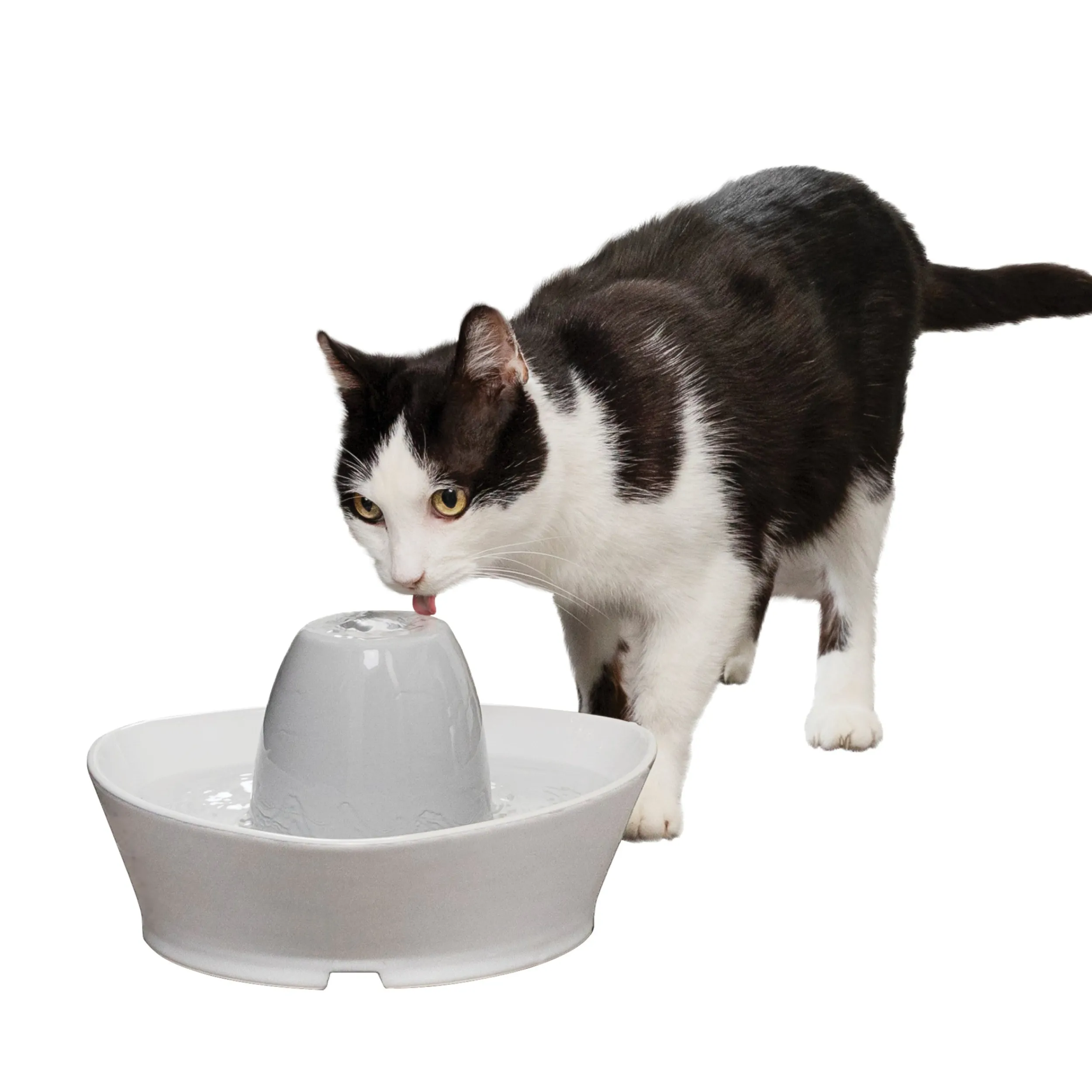 Sale PetSafe Creekside Ceramic Pet Fountain