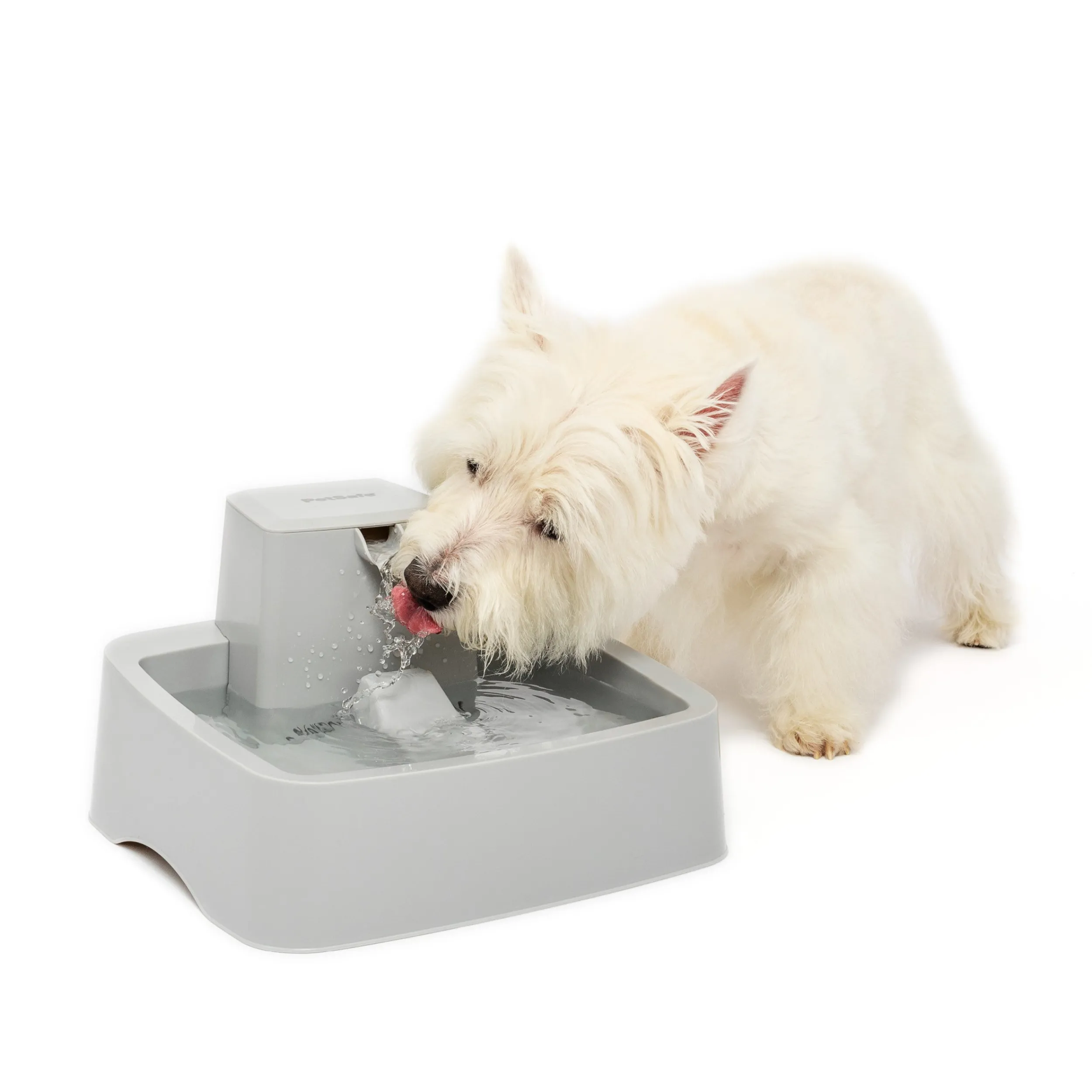 Clearance PetSafe Drinkwell® 1 Gallon Pet Fountain