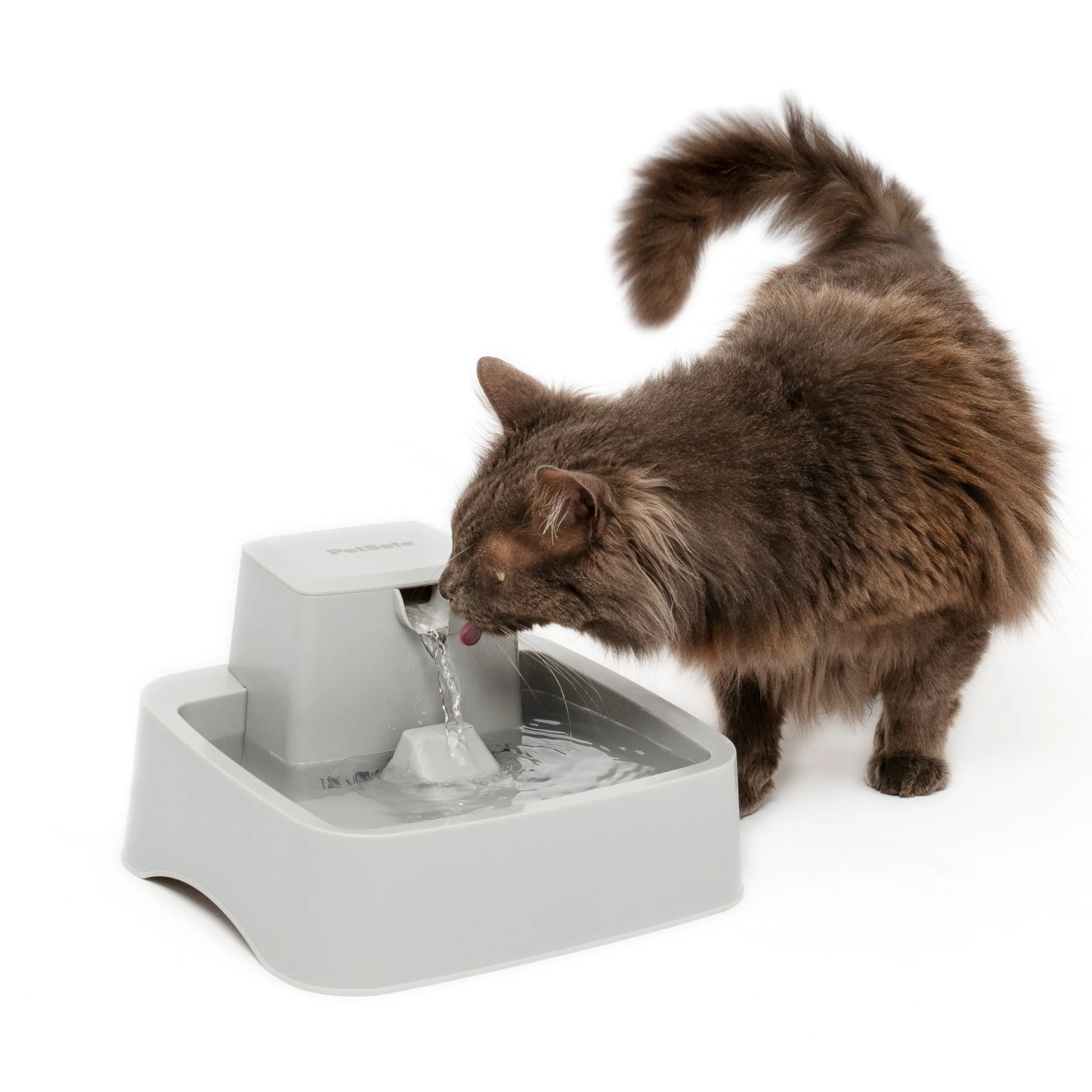 Shop PetSafe Drinkwell® ½ Gallon Pet Fountain