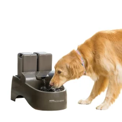 Store PetSafe Drinkwell® Outdoor Dog Fountain