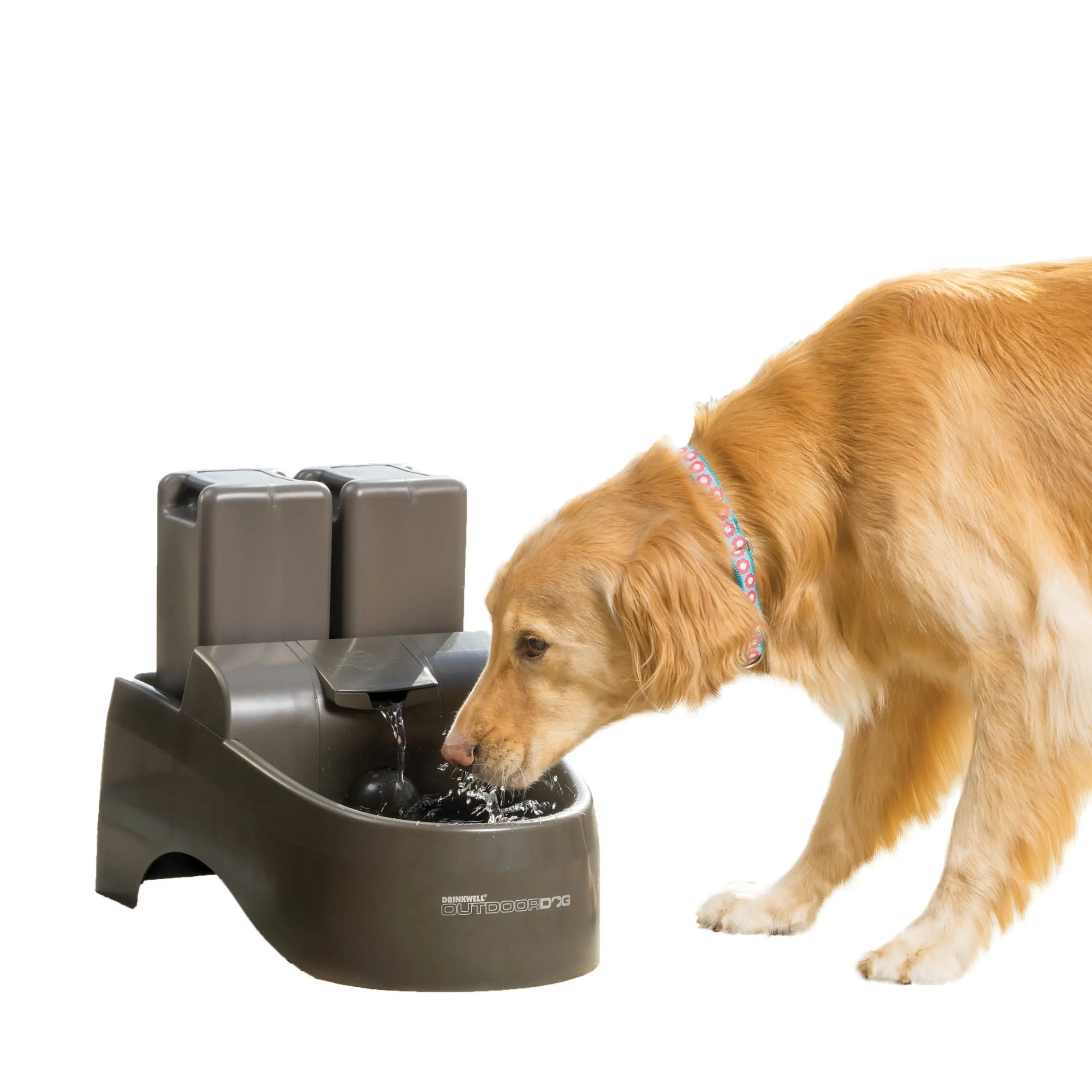 Store PetSafe Drinkwell® Outdoor Dog Fountain