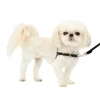 Fashion PetSafe Easy Walk® Harness, No Pull Dog Harness