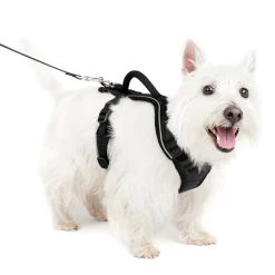 Best Sale PetSafe EasySport Harness