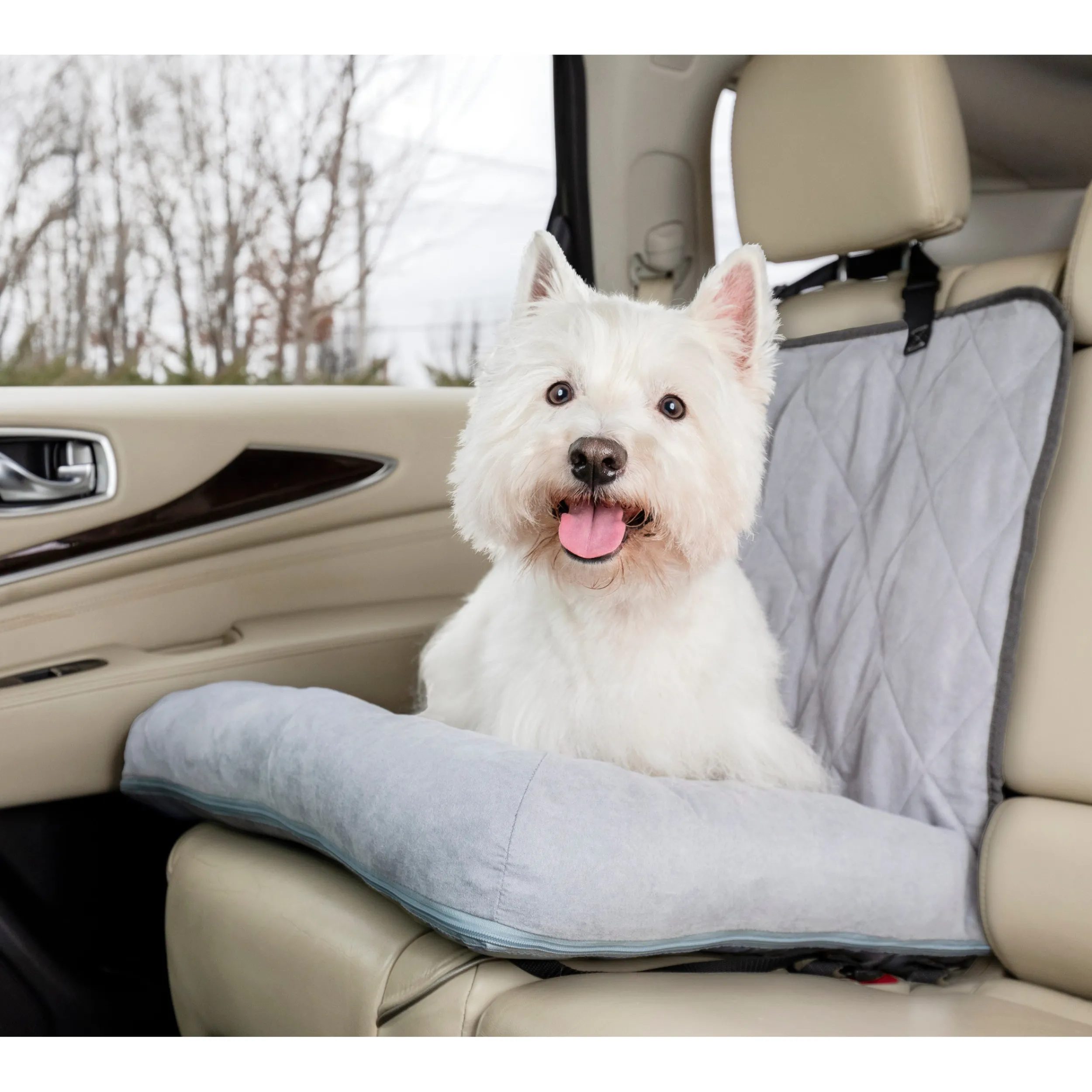Shop PetSafe Happy Ride® Car Dog Bed, Bucket Seat