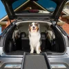 Hot PetSafe Happy Ride® Folding Dog Ramp