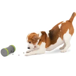 Shop PetSafe Kibble Chase™ Roaming Treat Dropper