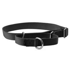 Fashion PetSafe Martingale Collar
