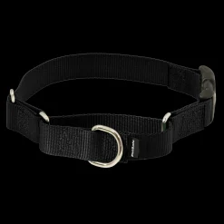 Online PetSafe Martingale Collar with Quick Snap Buckle