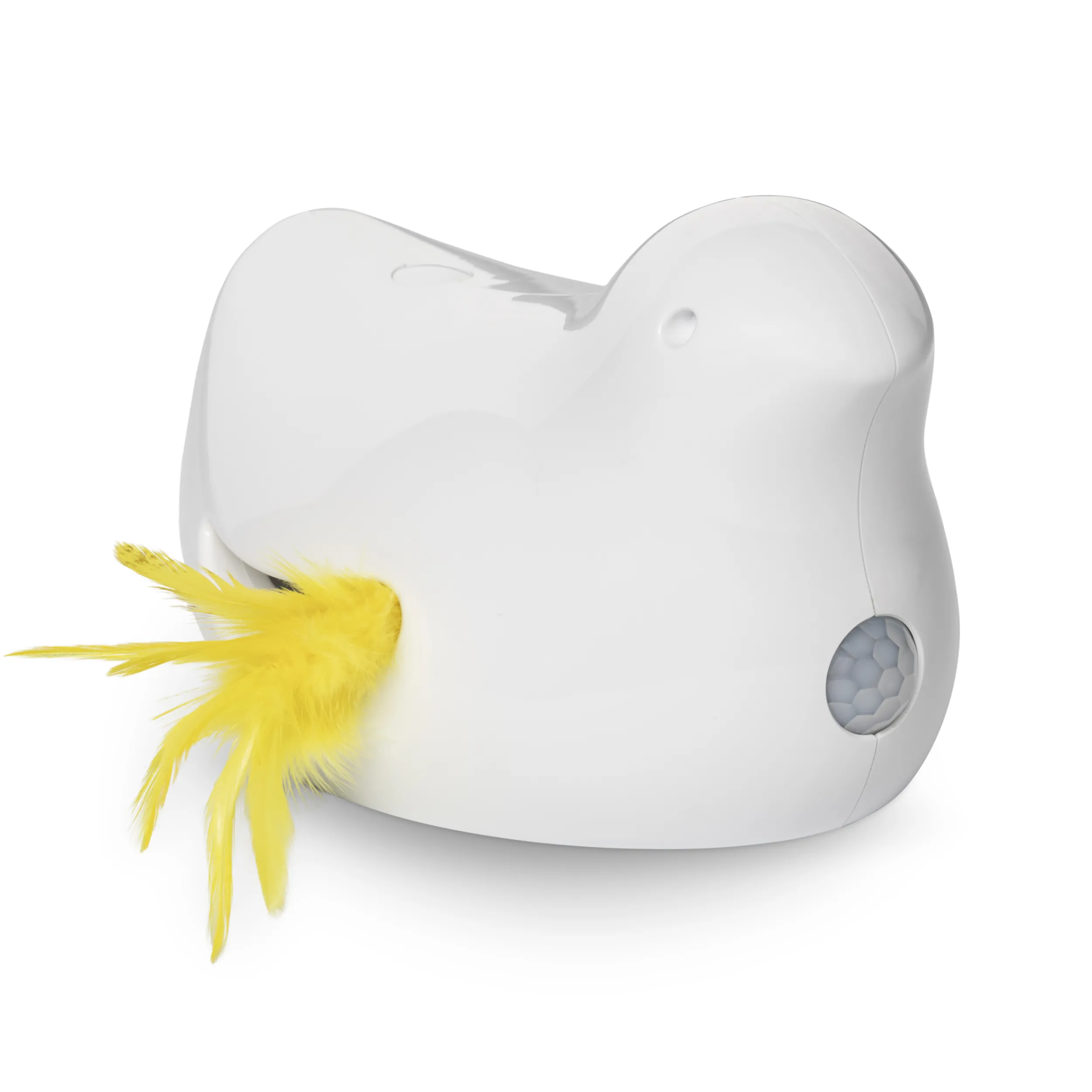 Best PetSafe Peek-a-Bird™ Electronic Cat Toy