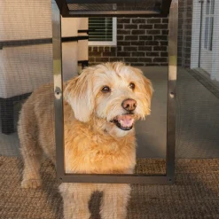 Cheap PetSafe Pet Screen Door