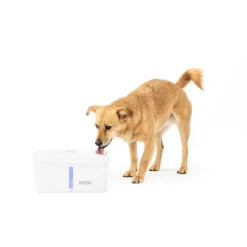 Online PetSafe Viva™ 140 oz Pet Fountain